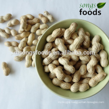 Chinese Shandong Origin Peanut In Shell 9/11